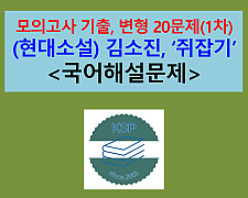 쥐잡기(김소진)-문제 모음 20제(1차)