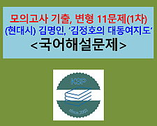 김정호의 대동여지도(김명인)-문제 모음 11제(1차)