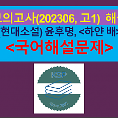 하얀 배(윤후명)-해설(202306, 고1 기출)